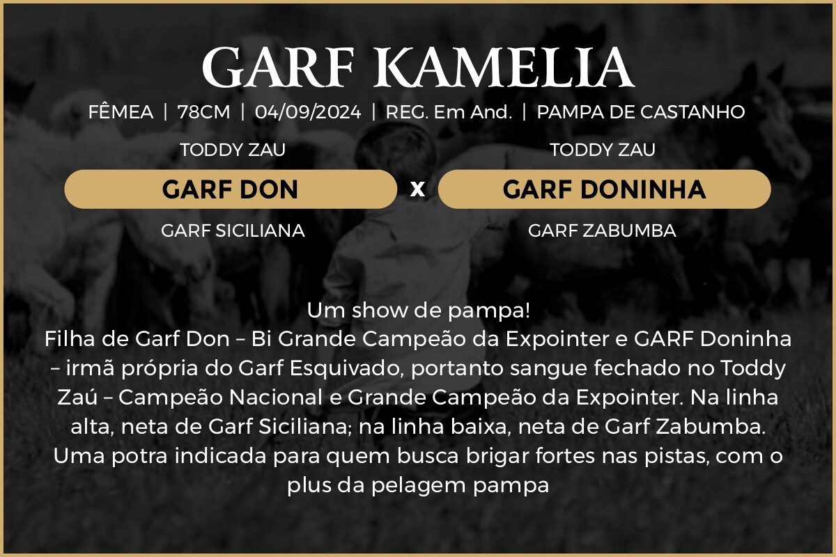 Geração GARF KAMELIA 