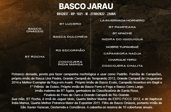 Geração BASCO JARAU
