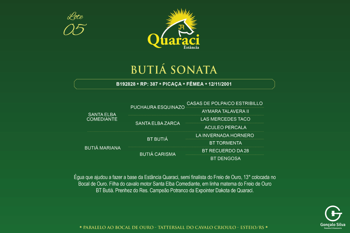 Geração BUTIÁ SONATA