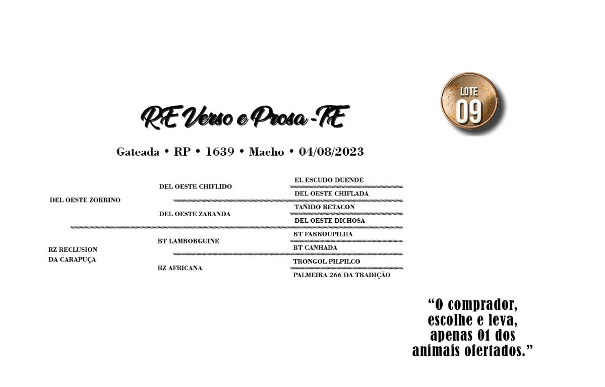 Geração RE VERSO E PROSA-TE (VENDA VERTICAL)