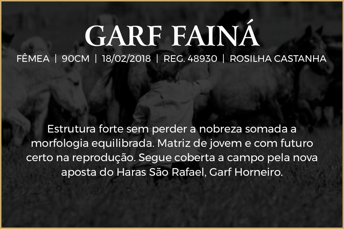 Geração GARF FAINÁ