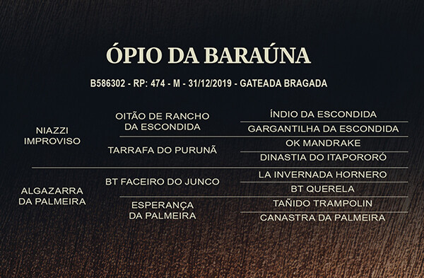 Geração ÓPIO DA BARAÚNA