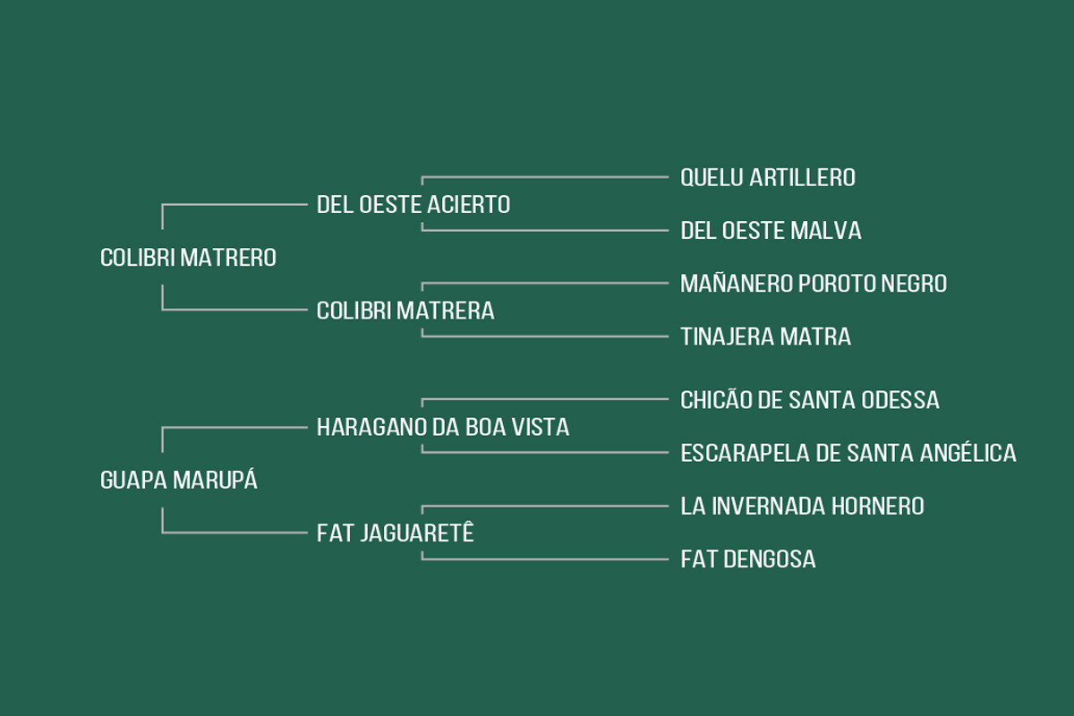 Geração HORNADA DA BOA VISTA