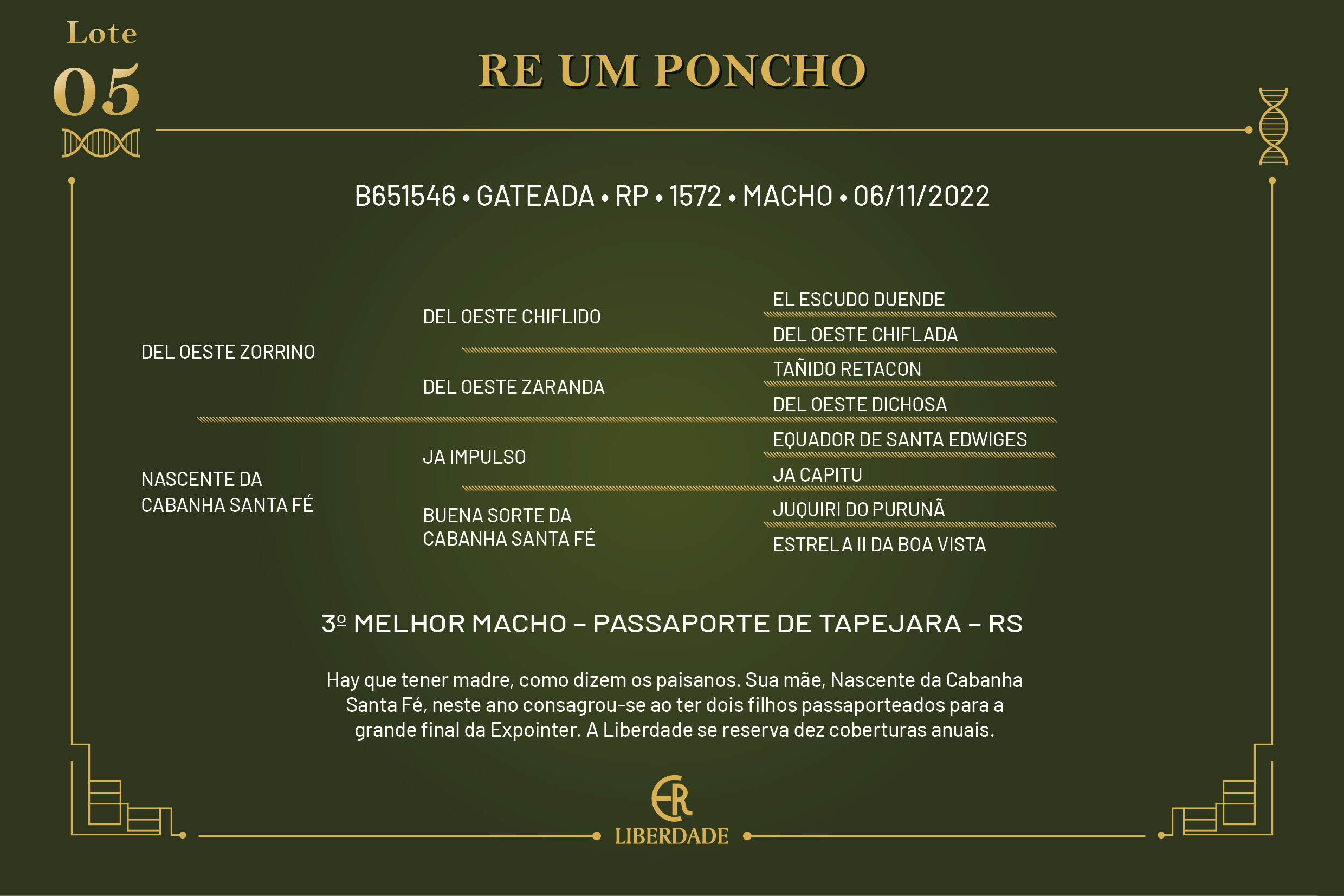 Geração RE UM PONCHO 