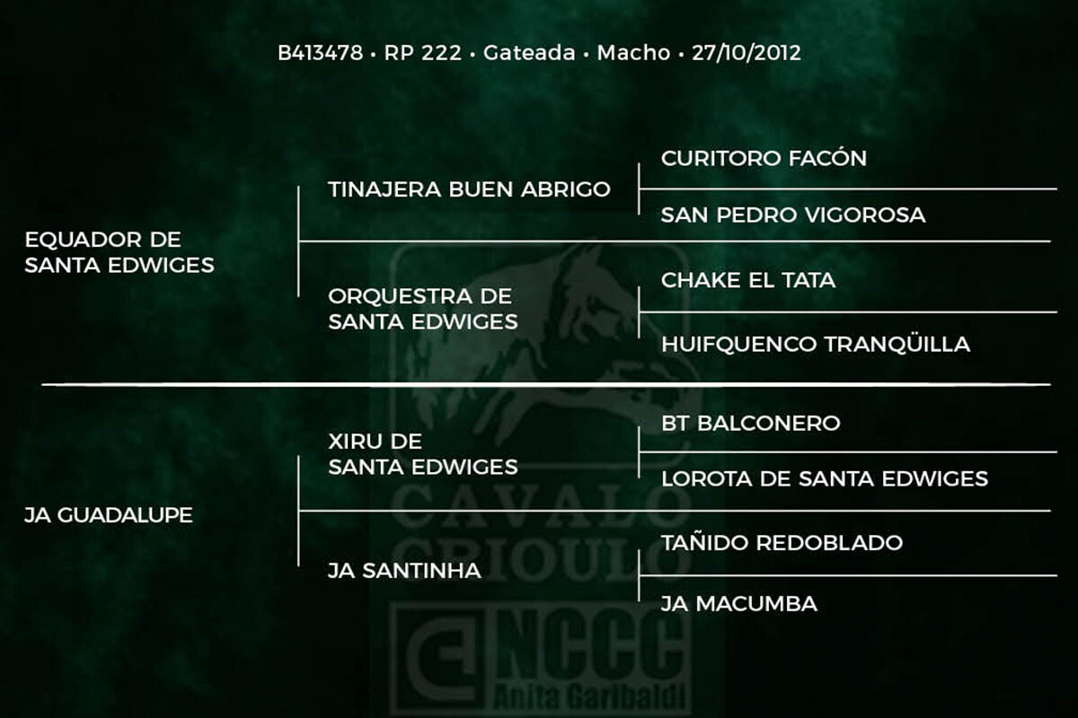 Geração JUSTICEIRO DA CABANHA SANTA FÉ