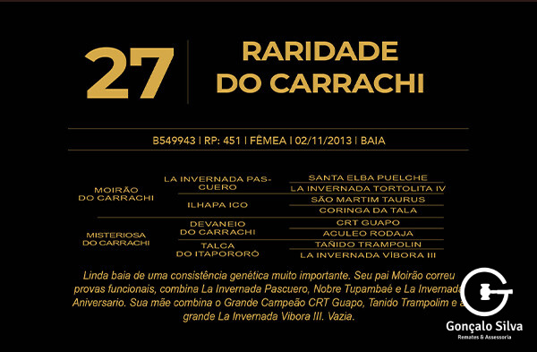 Geração RARIDADE DO CARRACHI