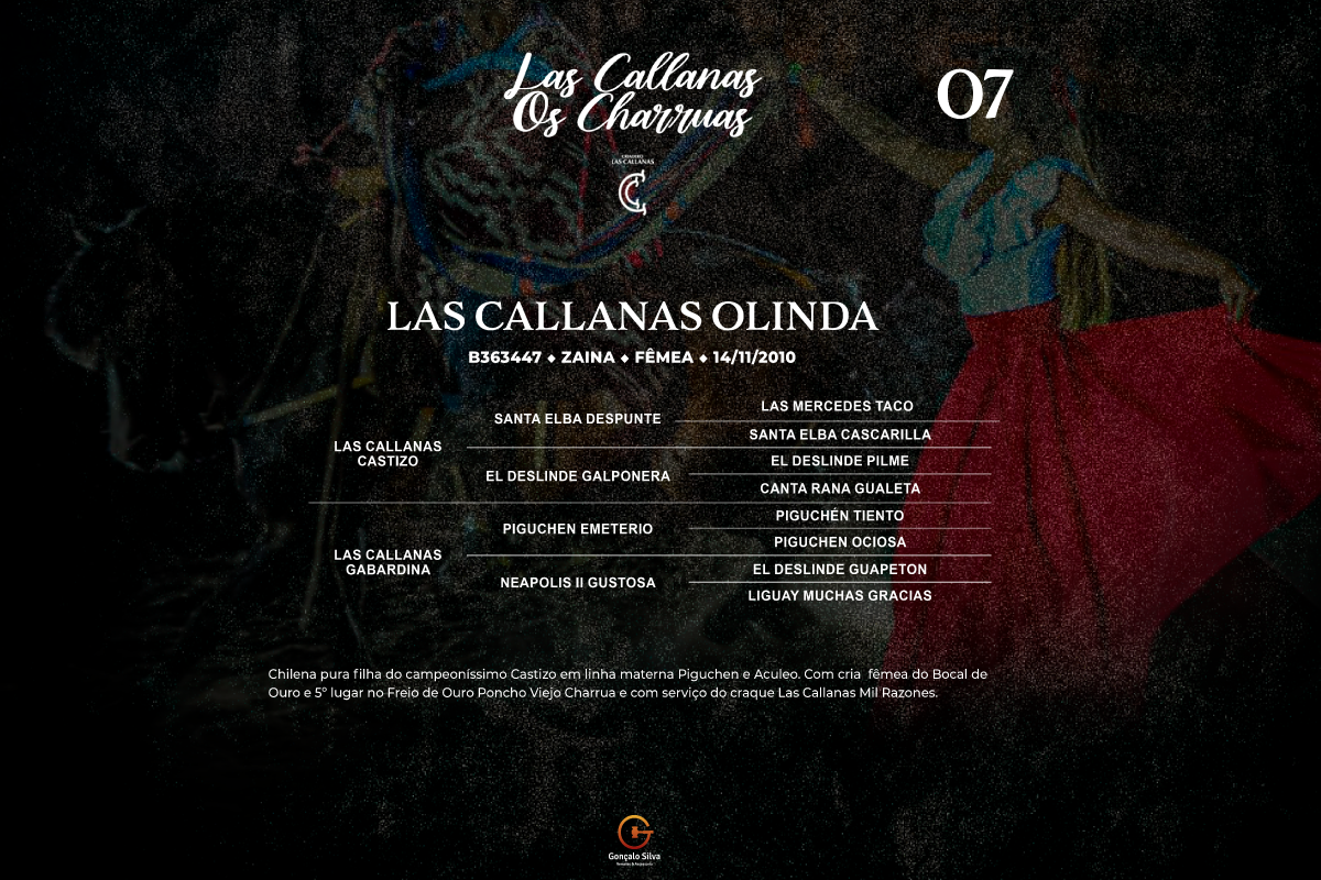 Geração LAS CALLANAS OLINDA