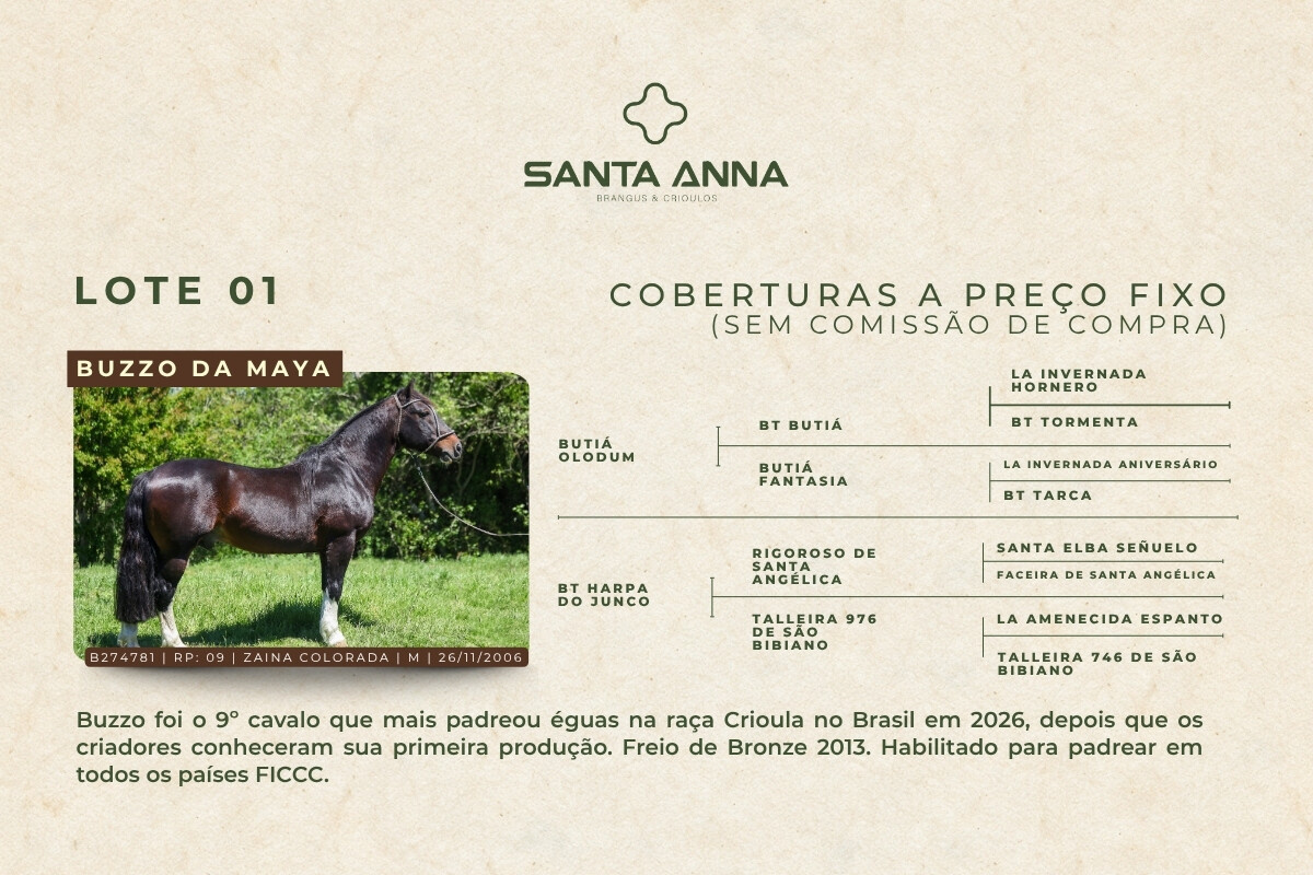 Geração BUZZO DA MAYA - COBERTURAS