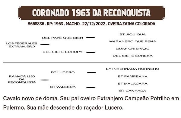 Geração CORONADO 1963 DA RECONQUISTA
