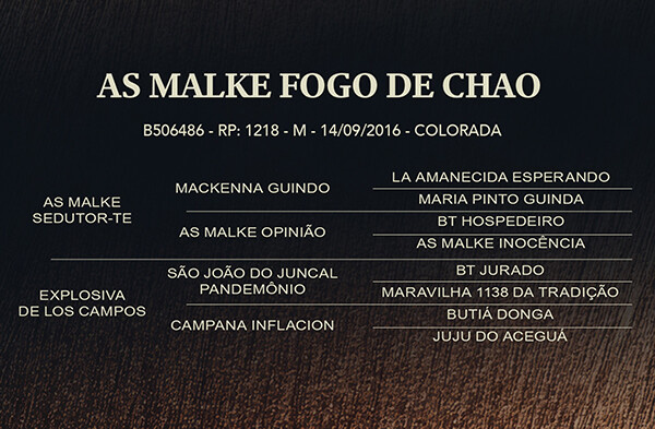 Geração AS MALKE FOGO DE CHÃO