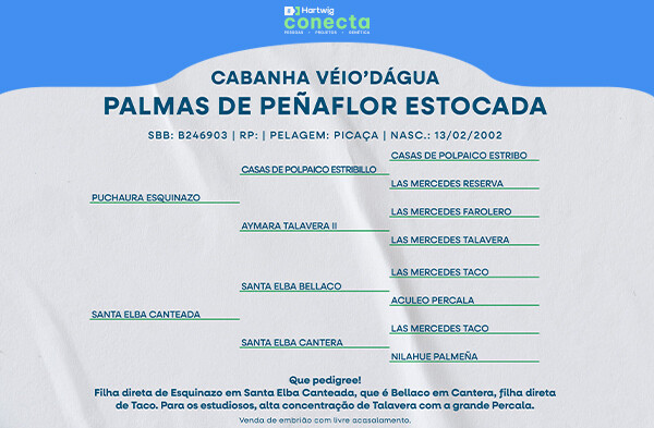 Geração PALMAS DE PEÑAFLOR ESTOCADA - (ELEIÇÃO DE EMBRIÃO)
