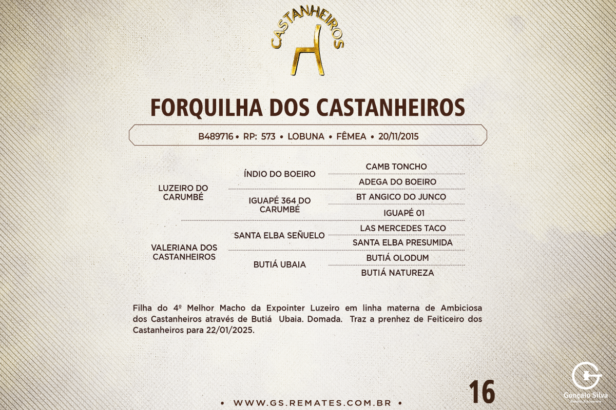 Geração FORQUILHA DOS CASTANHEIROS
