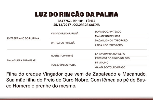 Geração LUZ DO RINÇÃO DA PALMA