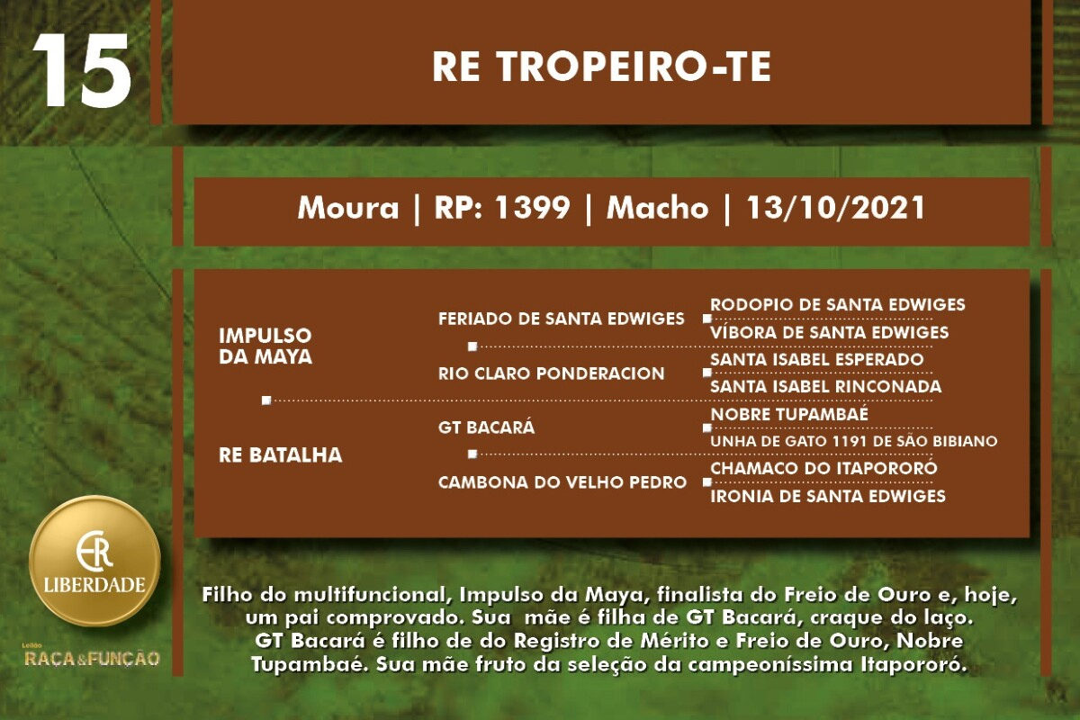 Geração RE TROPEIRO-TE