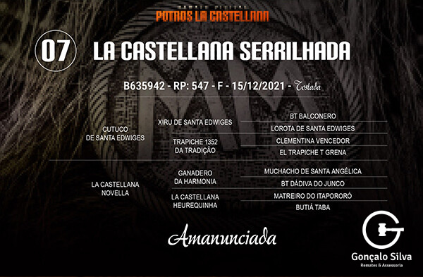 Geração LA CASTELLANA SERRILHADA