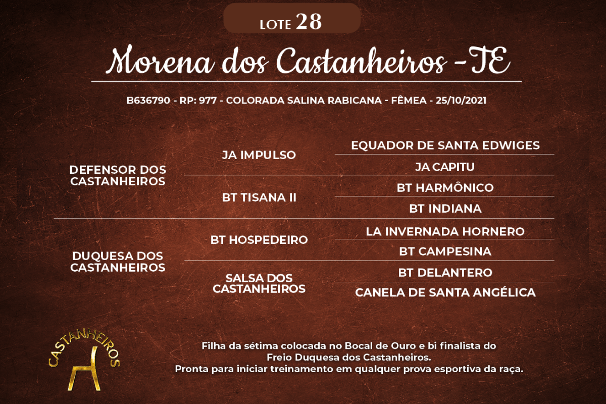 Geração MORENA DOS CASTANHEIROS-TE