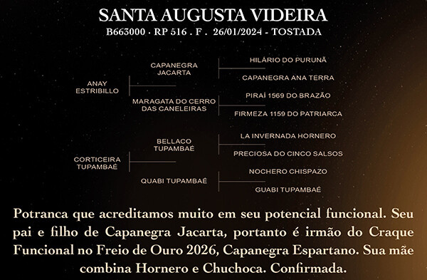 Geração SANTA AUGUSTA VIDEIRA