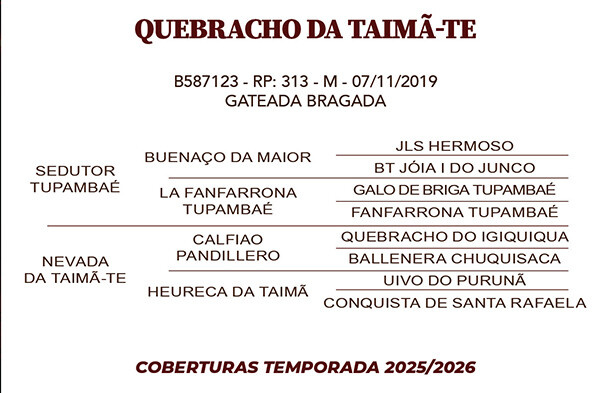 Geração QUEBRACHO DA TAIMÃ - TE 