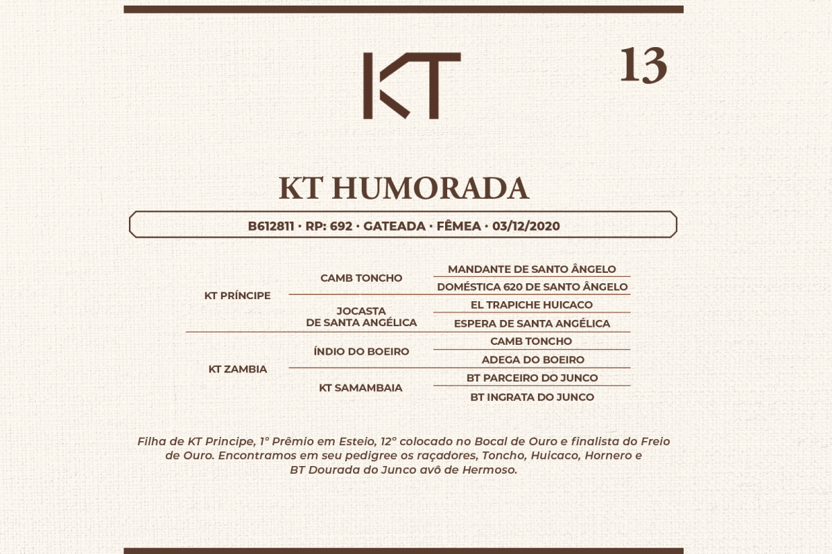 Geração KT HUMORADA