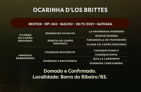 Geração OCARINHA D’LOS BRITTES
