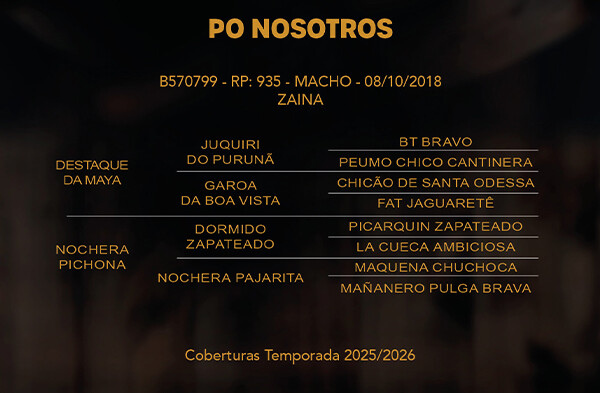 Geração PO NOSOTROS