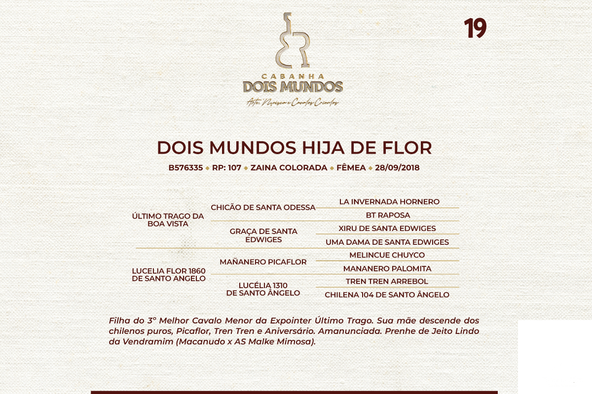 Geração  DOIS MUNDOS HIJA DE FLOR