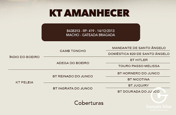 Geração COBERTURA KT AMANHECER 