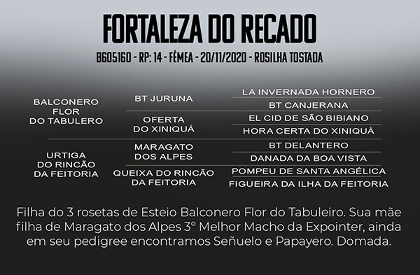 Geração FORTALEZA DO RECADO