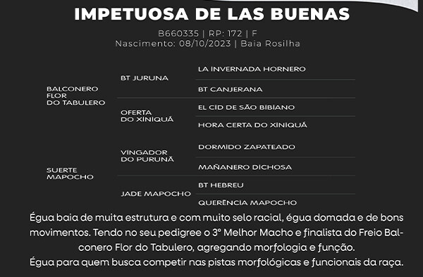 Geração IMPETUOSA DE LAS BUENAS