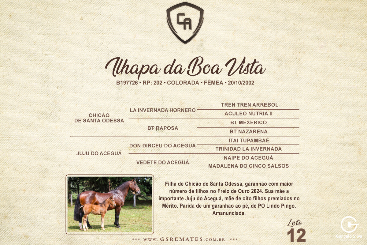 Geração ILHAPA DA BOA VISTA
