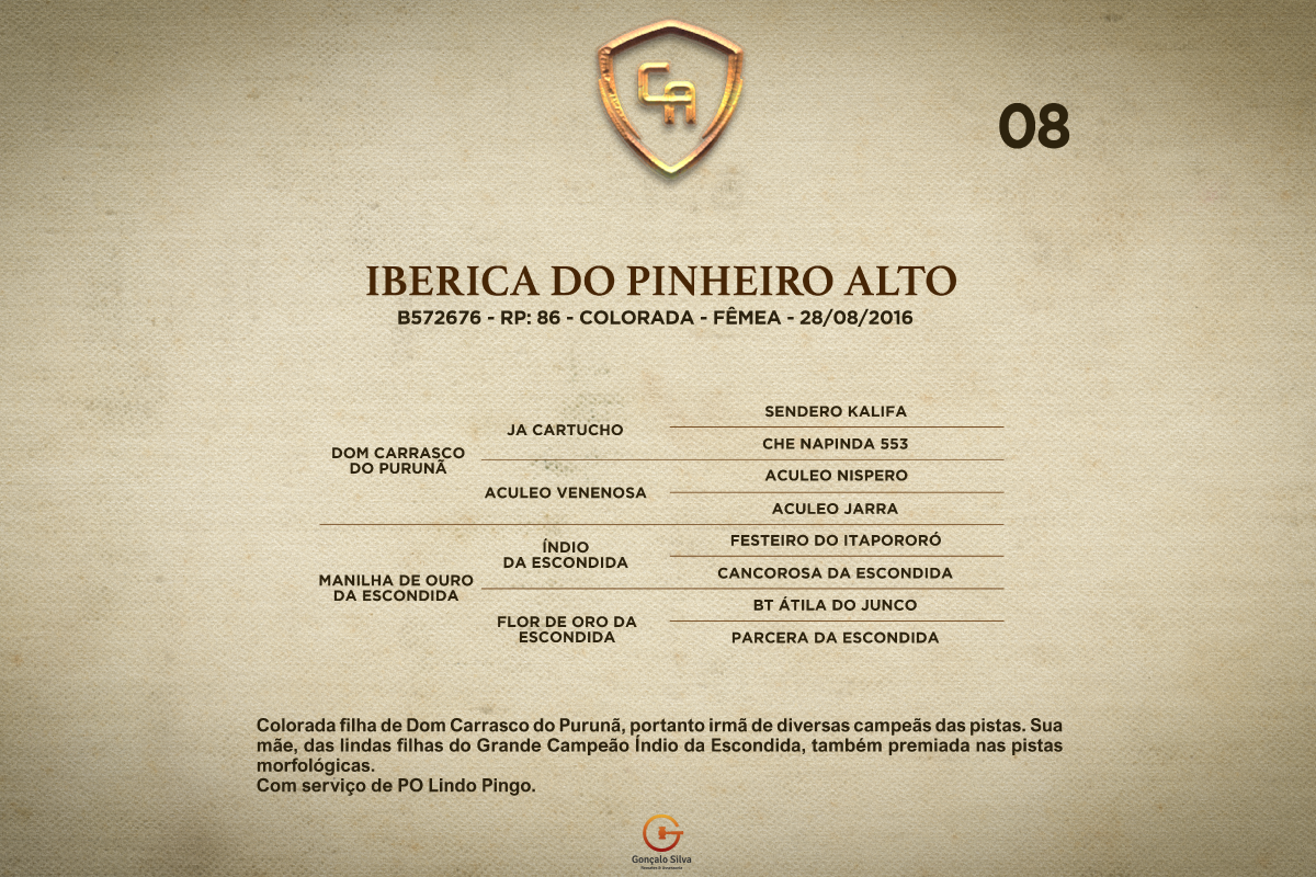 Geração IBERICA DO PINHEIRO ALTO