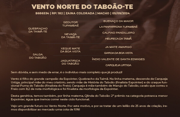 Geração VENTO NORTE DO TABOÃO - TE 