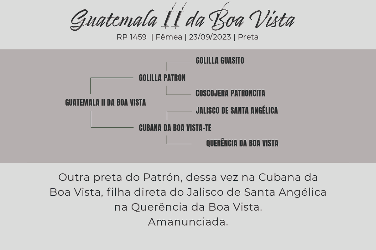 Geração GUATEMALA II DA BOA VISTA