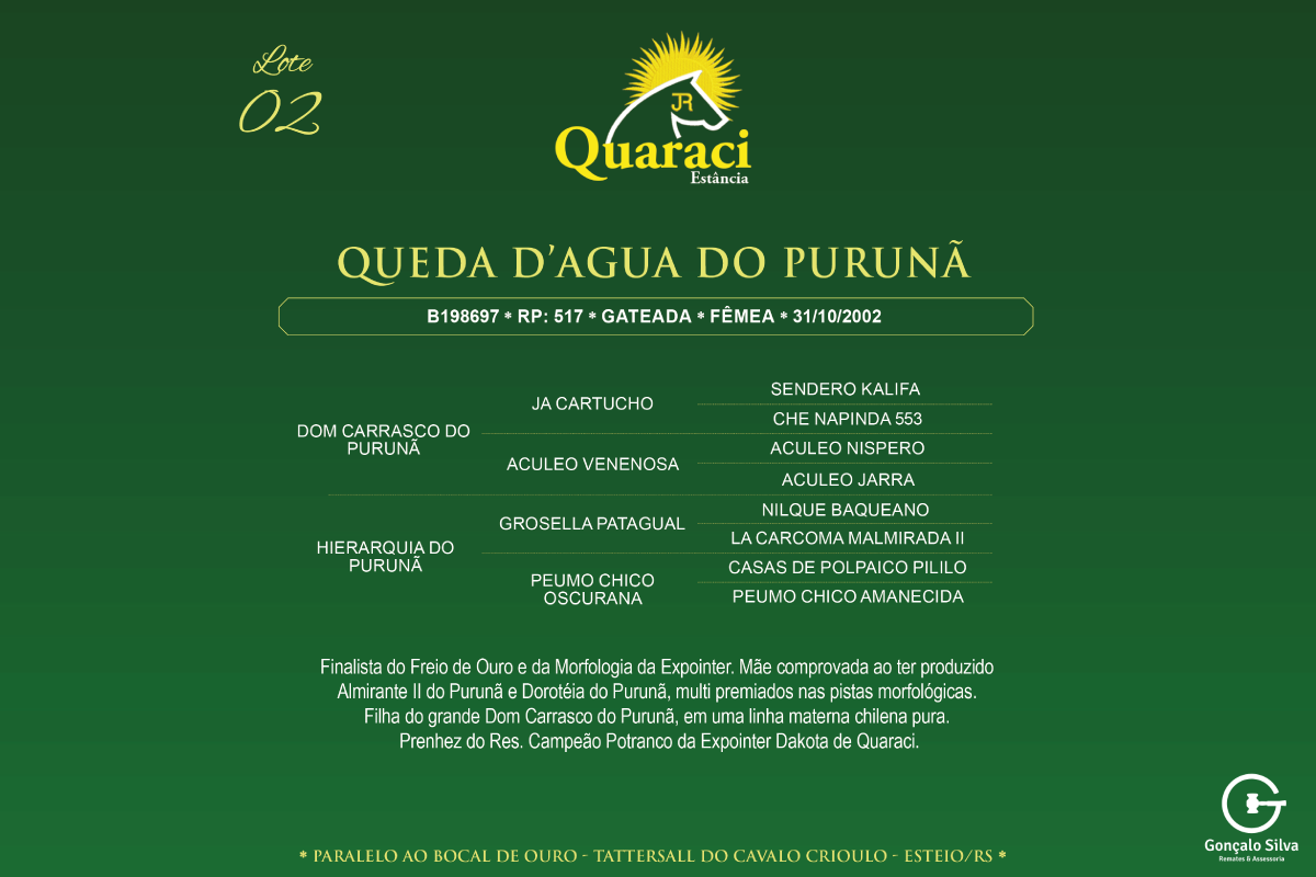 Geração QUEDA D'ÁGUA DO PURUNÃ