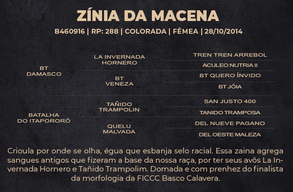 Geração ZÍNIA DA MACENA