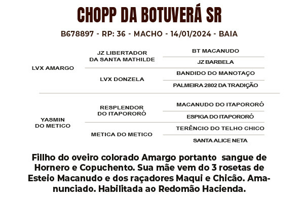 Geração CHOPP DA BOTUVERÁ SR