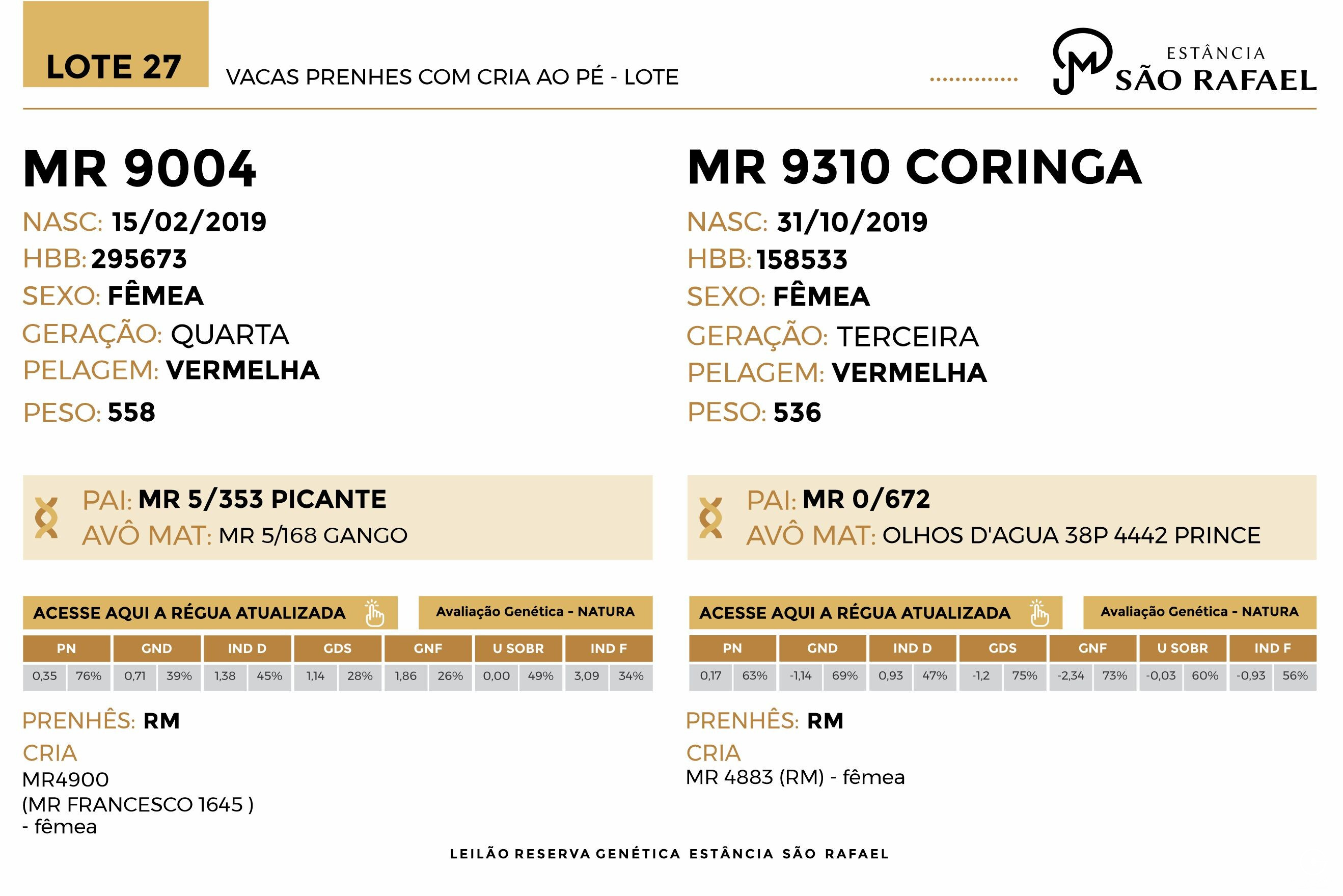 Geração VACAS PRENHES COM CRIA AO PÉ - LOTE 