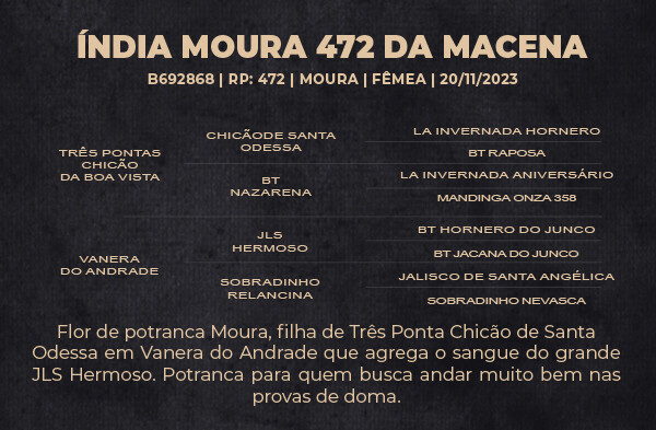 Geração ÍNDIA MOURA 472 DA MACENA