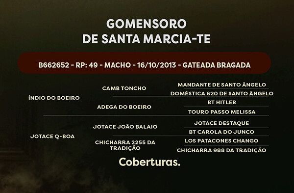 Geração GOMENSORO DE SANTA MARCIA-TE