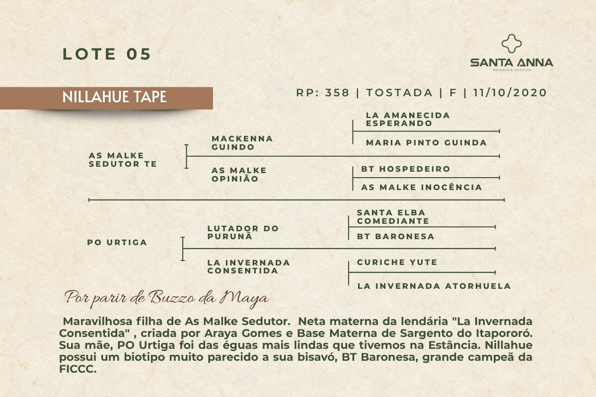 Geração NILLAHUE TAPE