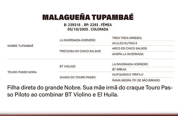Geração MALAGUEÑA TUPAMBAÉ