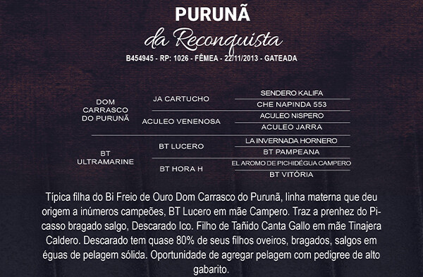 Geração PURUÑA DA RECONQUISTA