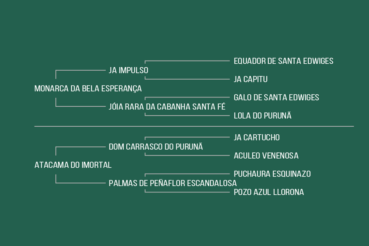 Geração HINDAIÁ DA BOA VISTA