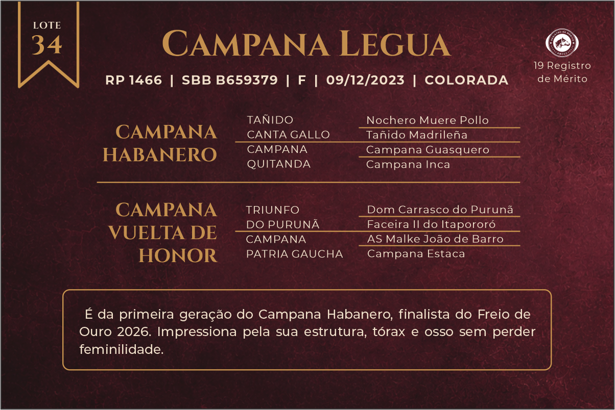 Geração CAMPANA LEGUA
