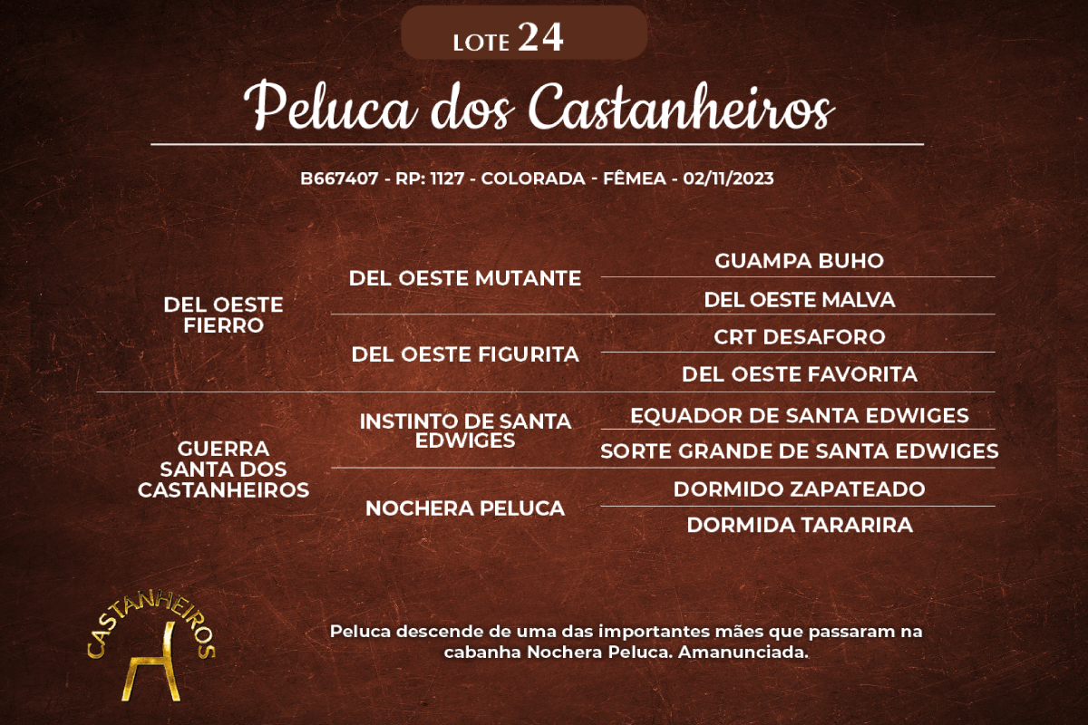Geração PELUCA DOS CASTANHEIROS