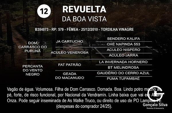 Geração REVUELTA DA BOA VISTA 
