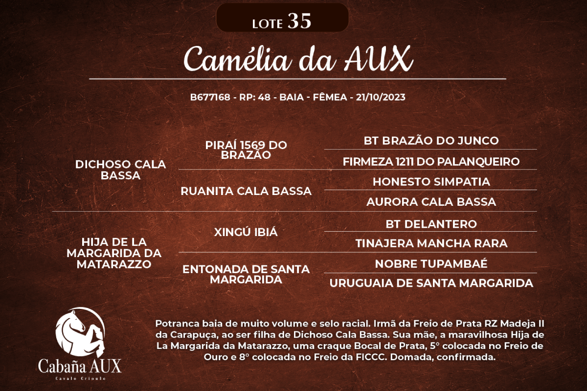 Geração CAMÉLIA DA AUX