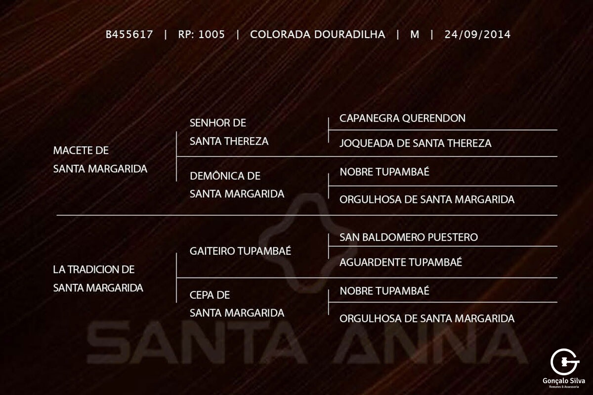 Geração URCO DE SANTA THEREZA (Cobertura)