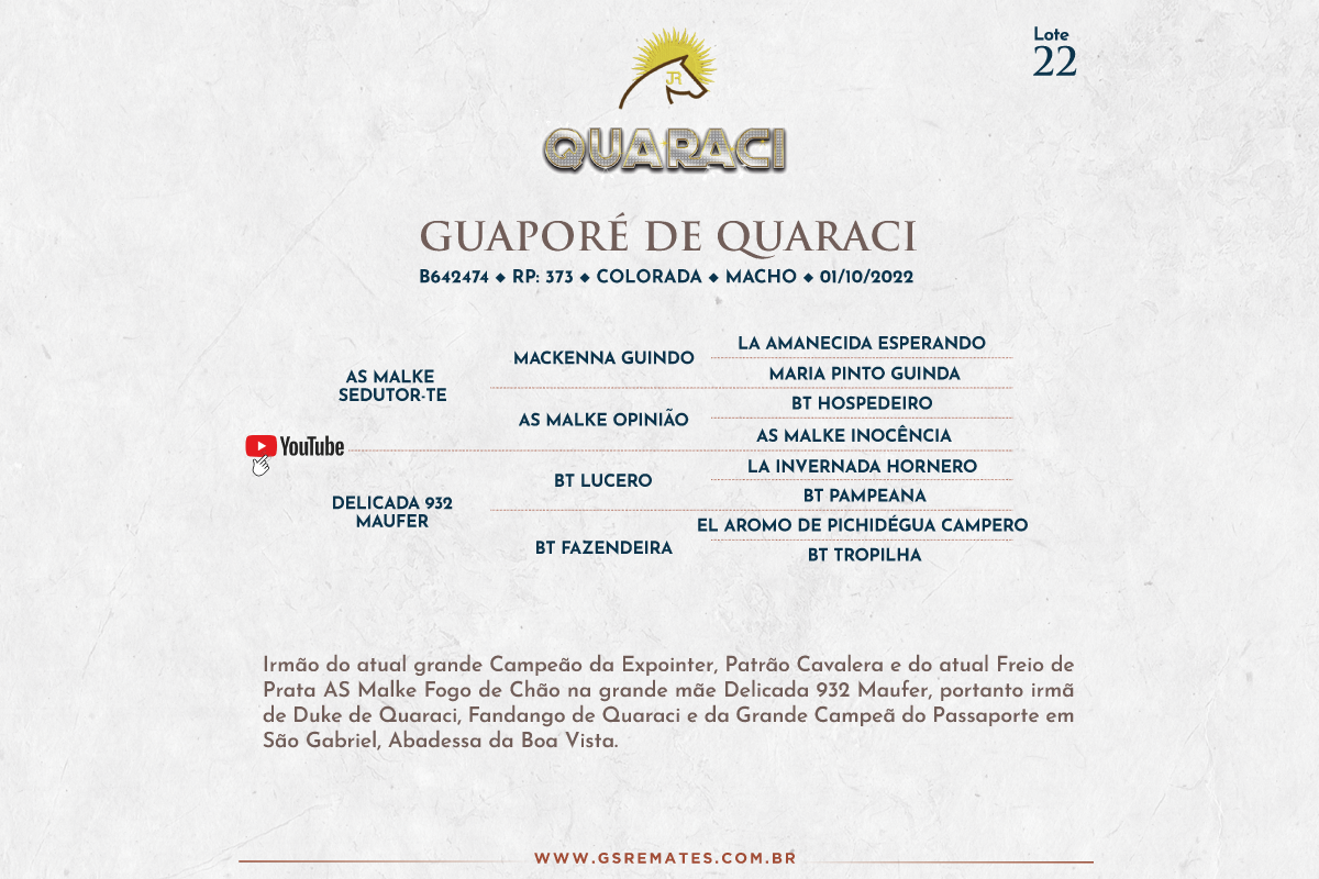 Geração GUAPORÉ DE QUARACI