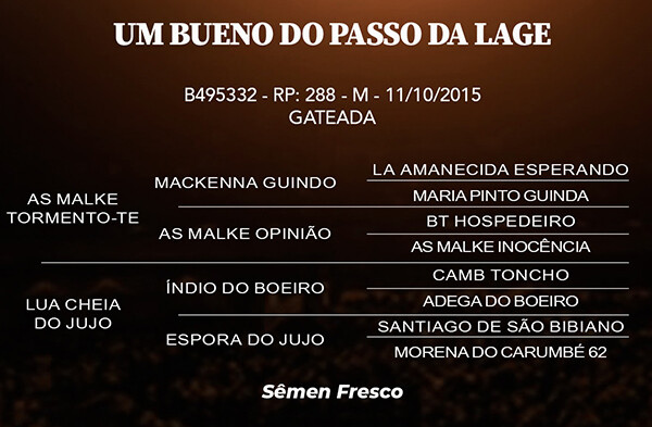 Geração UM BUENO DO PASSO DA LAGE